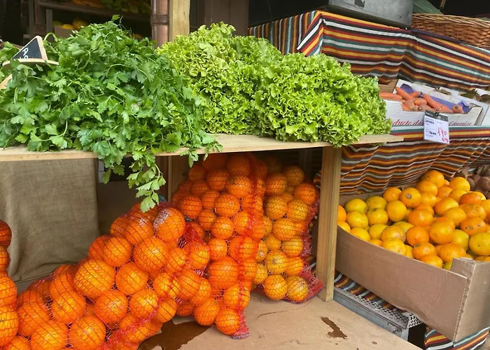 La Casa Nostra - Family Oriented House In Quiet Area *