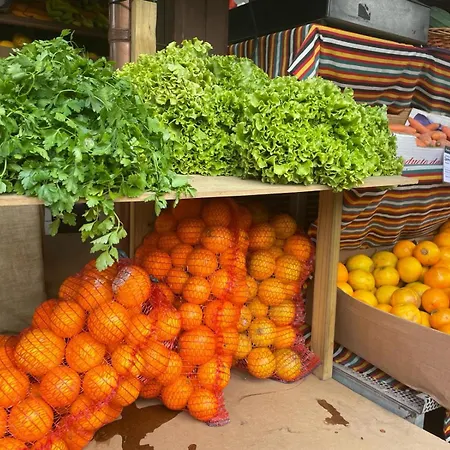 La Casa Nostra - Family Oriented House In Quiet Area *